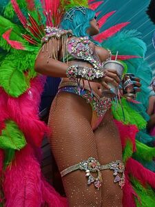 Rihanna Barbados Festival Pussy Slip Leaked