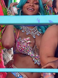 Rihanna Barbados Festival Pussy Slip Leaked