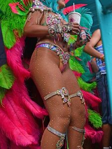 Rihanna Barbados Festival Pussy Slip Leaked