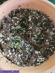 Valorie exclusive onlyfans leaked nudes