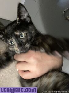 peachynezz7 exclusive onlyfans leaked nudes