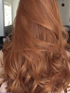 ddbella exclusive onlyfans leaked nudes