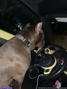 xxxbrookepaige exclusive onlyfans leaked nudes