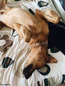 Lola Tessa new hot onlyfans leaked nudes