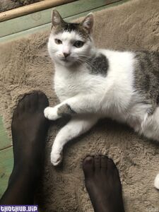 Ocicat new hot onlyfans leaked nudes