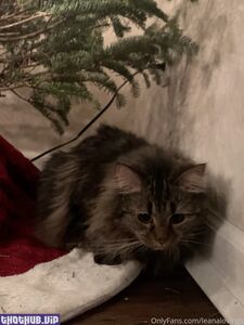 Leanalovings new hot onlyfans leaked nudes