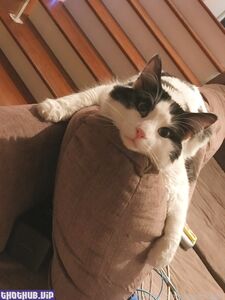 yungest nugget new hot onlyfans leaked nudes