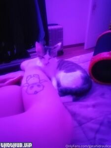 Gatahidraulica new hot onlyfans leaked nudes