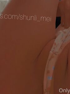 ShunliMei new hot onlyfans leaked nudes