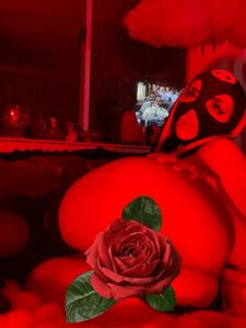 ltlyata new hot onlyfans leaked nudes