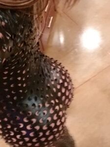 eva notty onlyfans leaks nude photos and videos