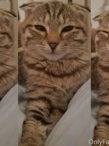 nicolebun onlyfans leaks nude photos and videos