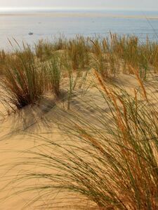 Kimber Veils onlyfans leaks nude photos and videos