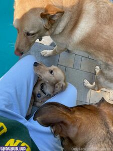 daisy keech onlyfans leaks nude photos