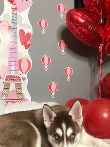 Marleybrinx Onlyfans Leaks Nude Photos