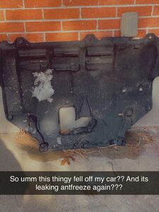 Mollypopz Onlyfans Leaks Latest Nude Photo