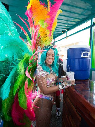Rihanna Barbados Festival Pussy Slip Leaked