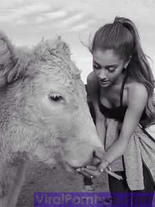 Ariana Grande Nude Leaks