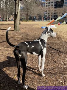 BayBelle Onlyfans Leaks Nude Album