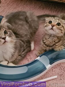 nicolebun Onlyfans Leaks Album - Latest Set