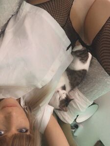 Ocicat Onlyfans Premium Leaks