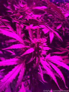 neptunenips Onlyfans Latest Nude Photo Leaks